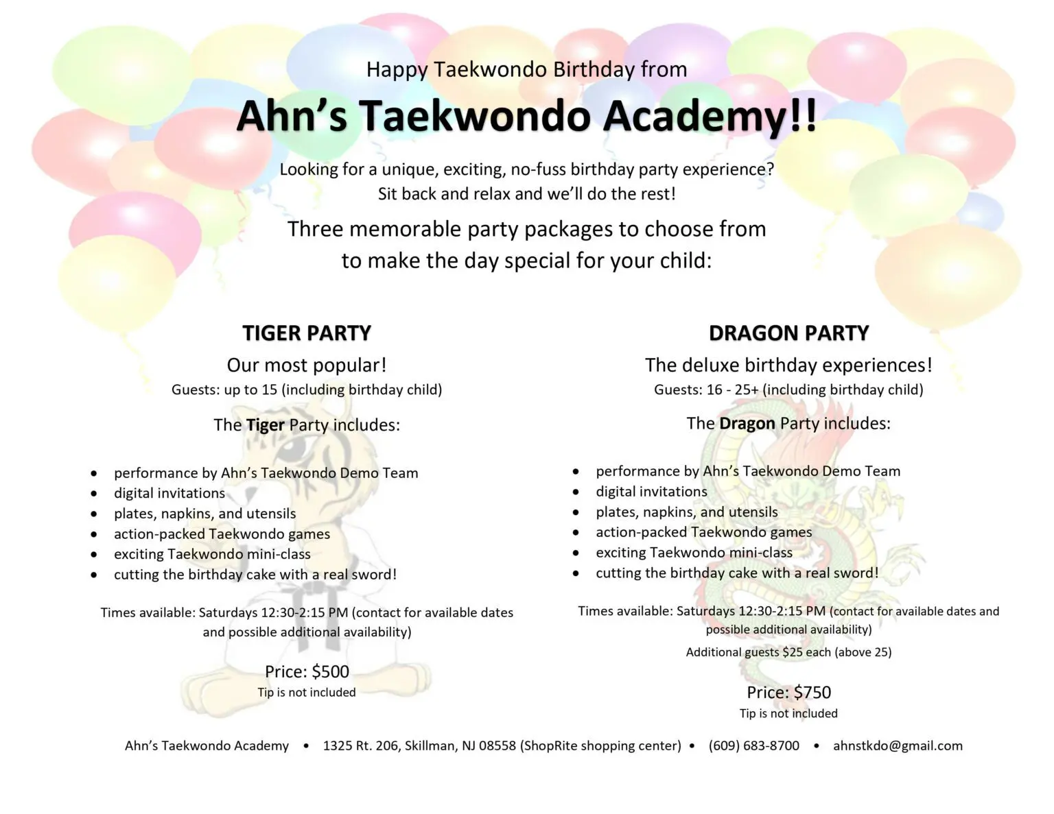 Birthday party package comparison at Ahn's Taekwondo