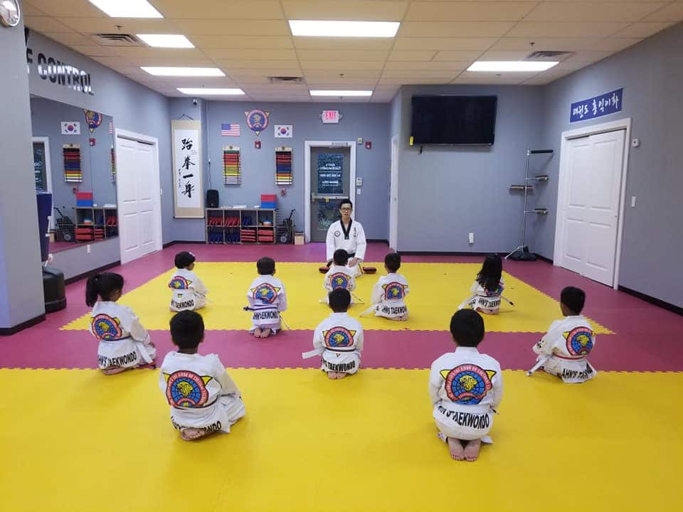 Ahn's Taekwondo dojang training