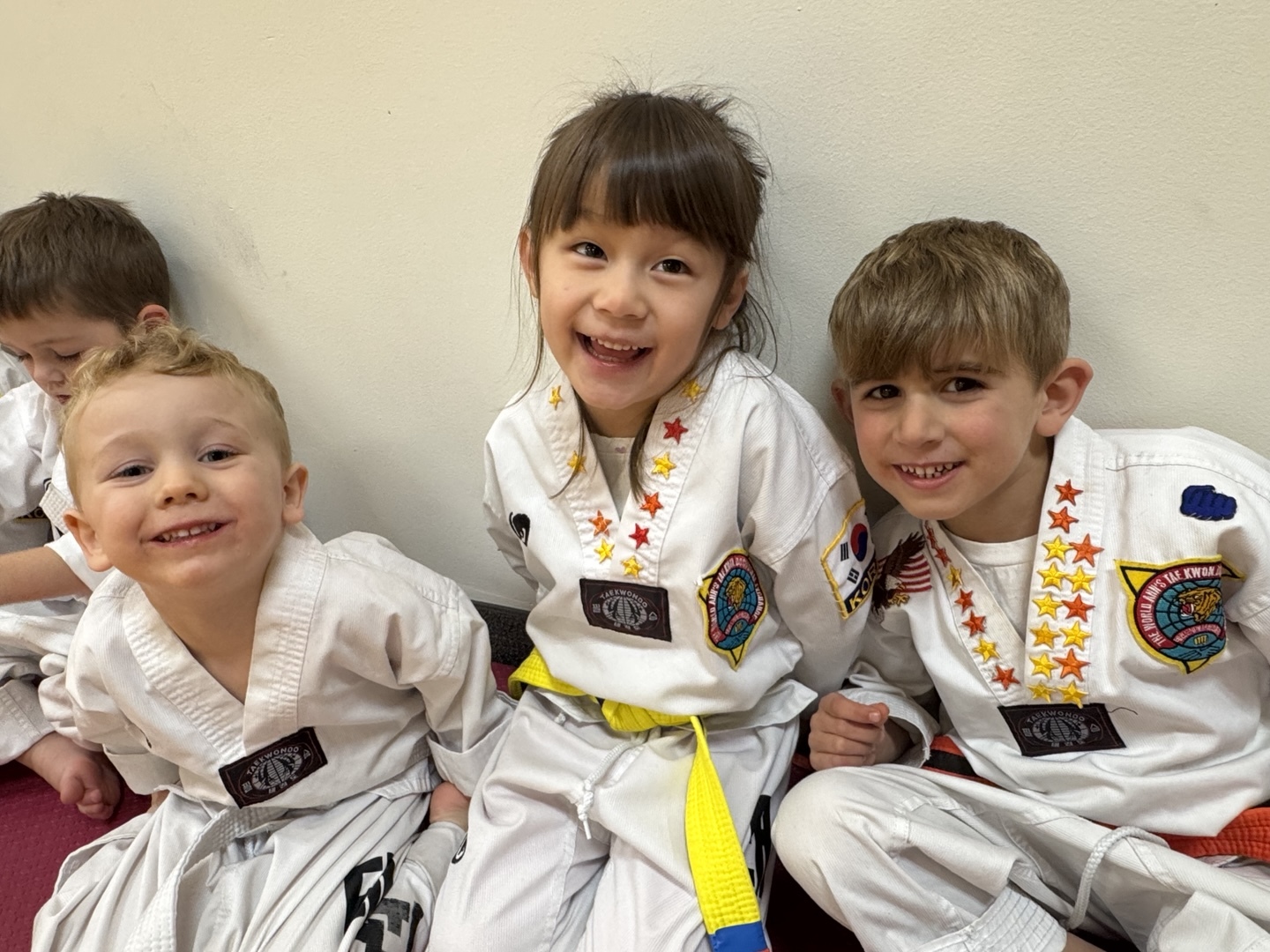 Ahn's Taekwondo event