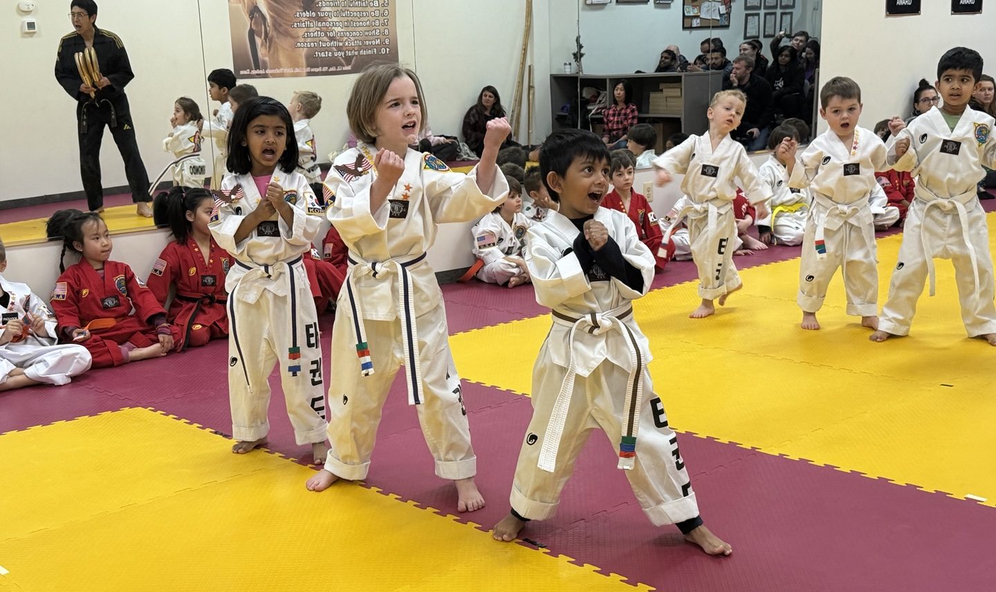Little Tigers curriculum at Ahn's Taekwondo