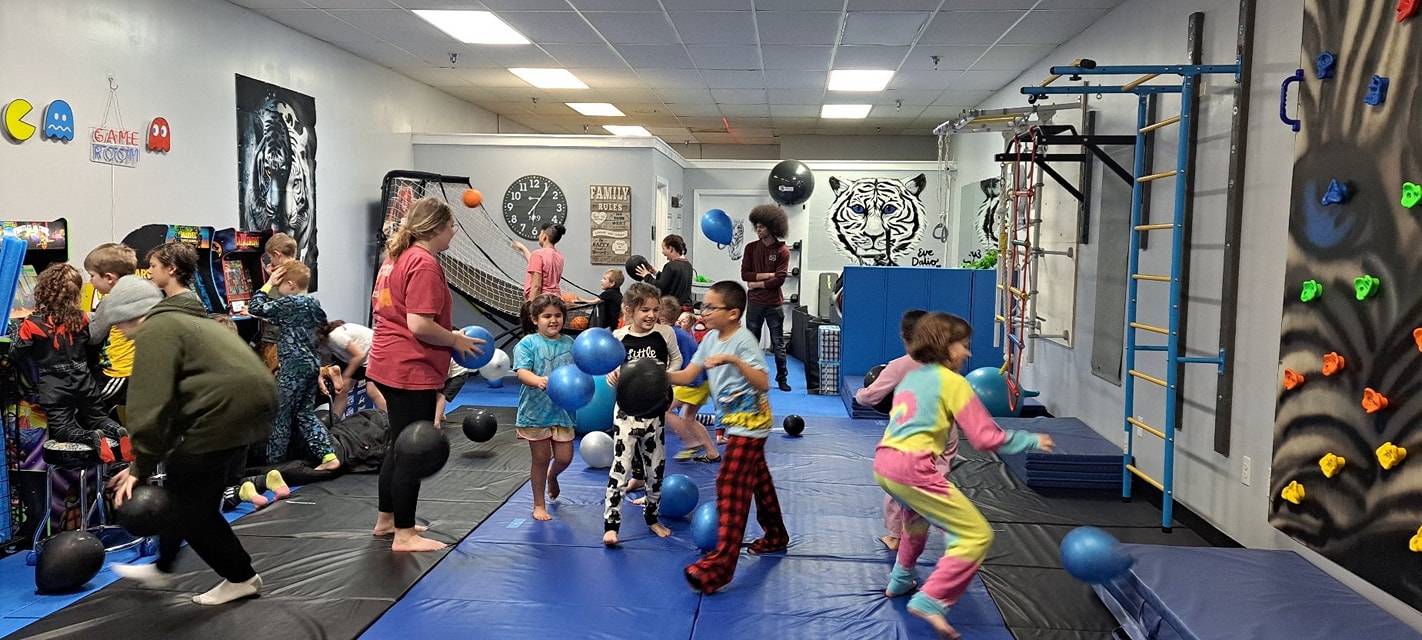 Summer camp field trips and activities