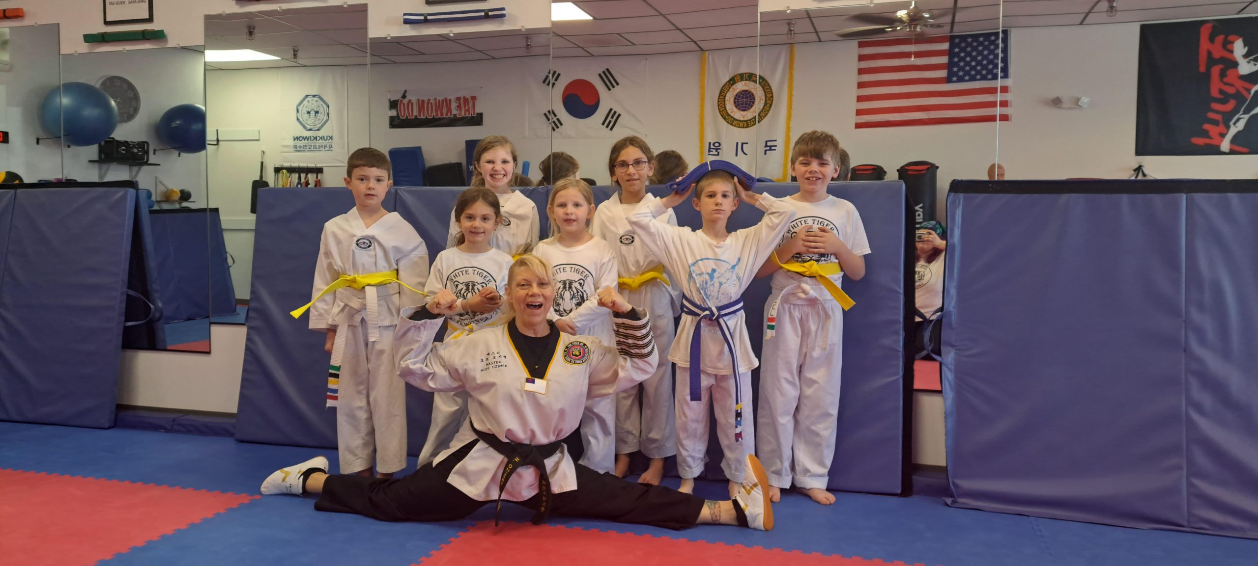 Taekwondo Master Teaching Students