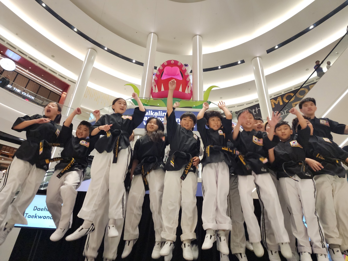 Dae Han Taekwondo demo team at the mall