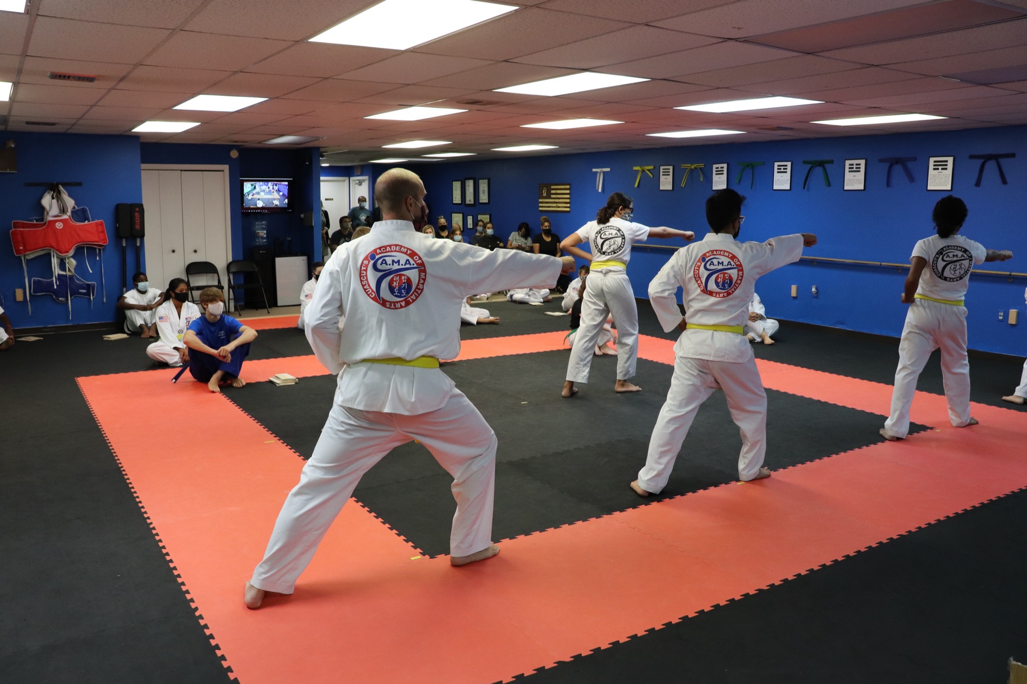 Adult Martial Arts