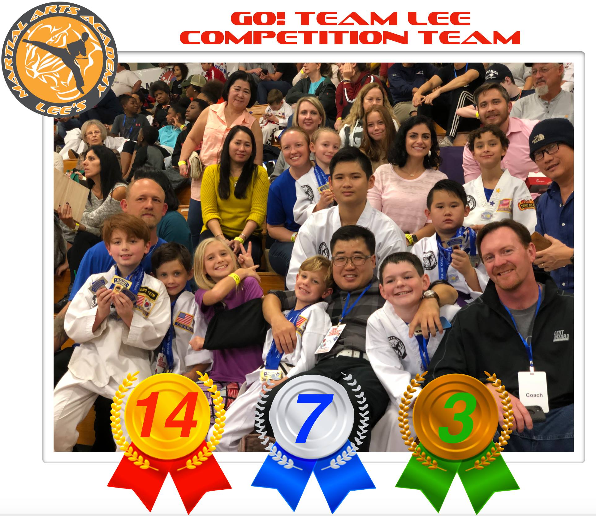 Lee's Martial Arts Academy - Korean Taekwondo Training