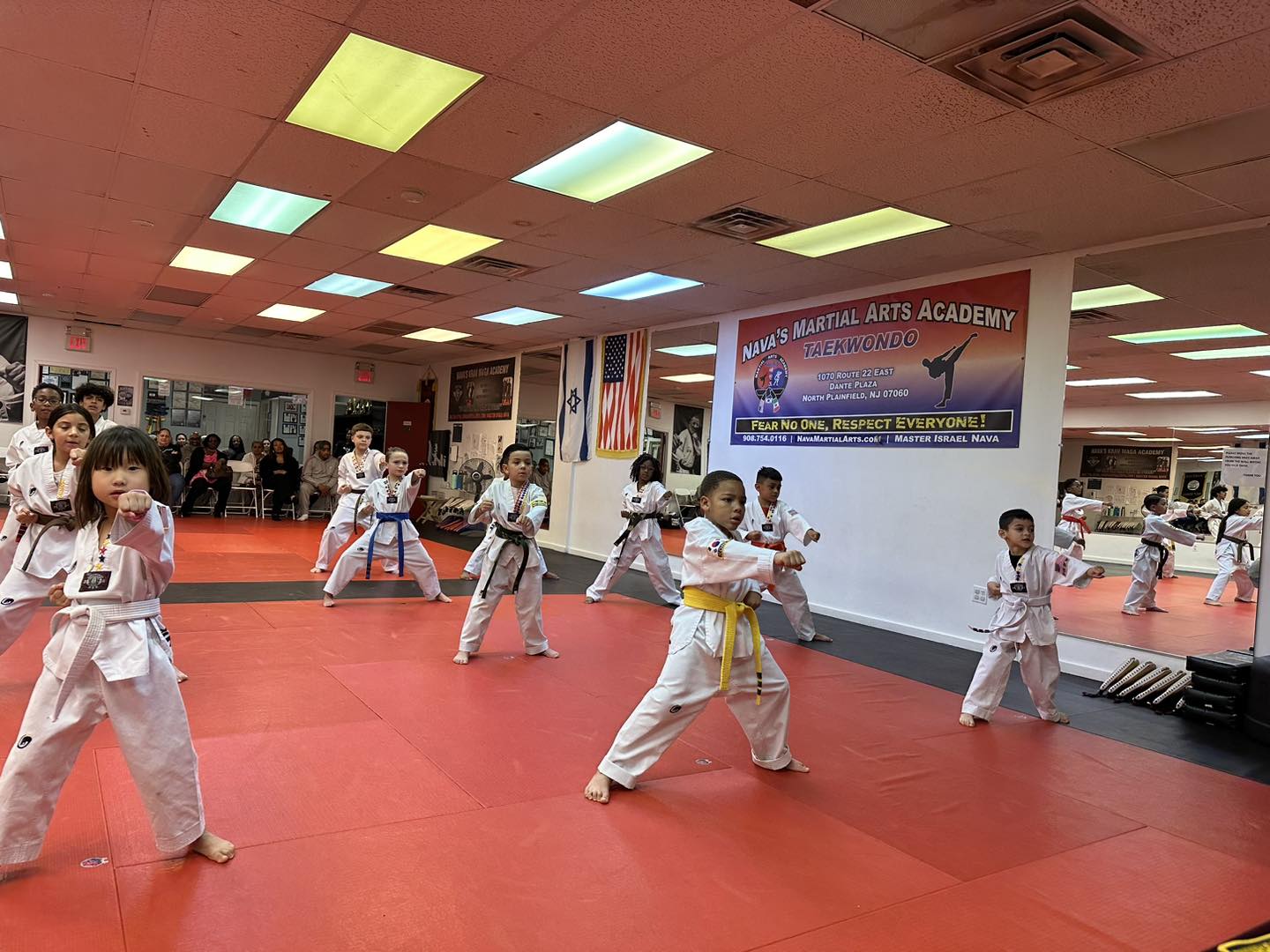 Taekwondo Master Teaching Students
