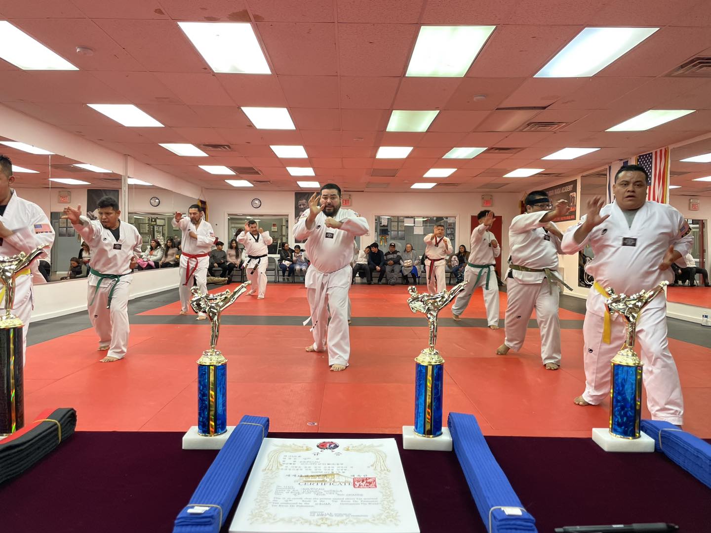 Adult Taekwondo Class