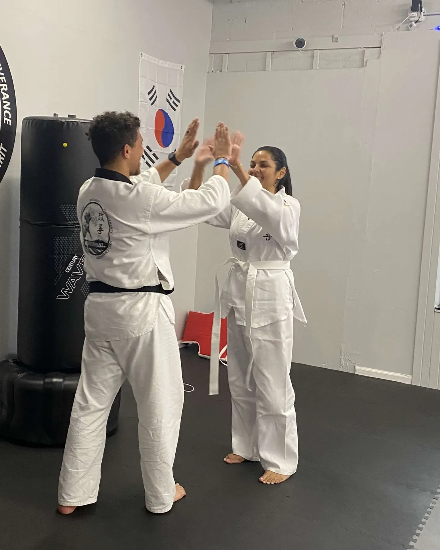 Adult Taekwondo partner training drill