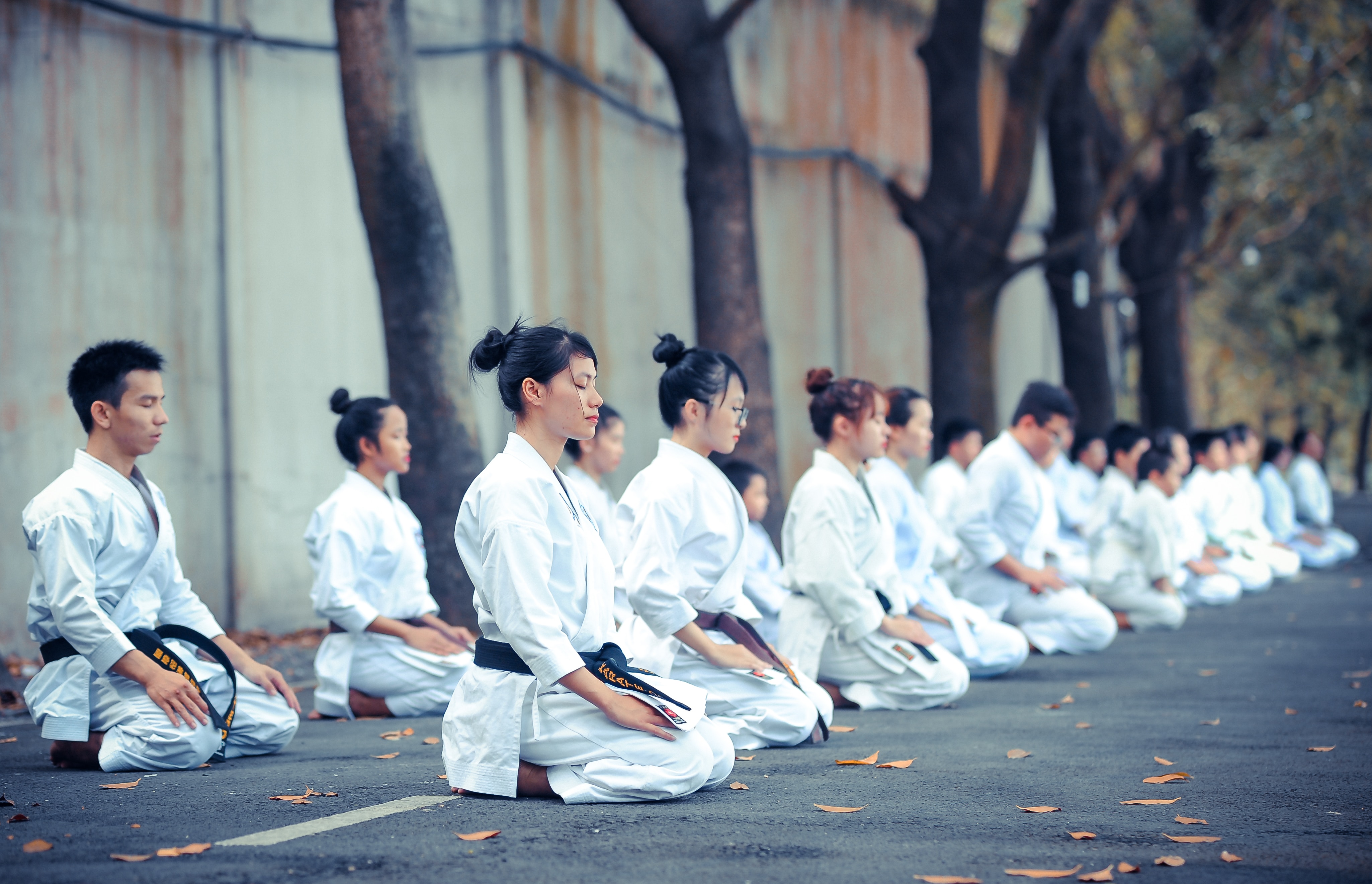 Adult Taekwondo class training together