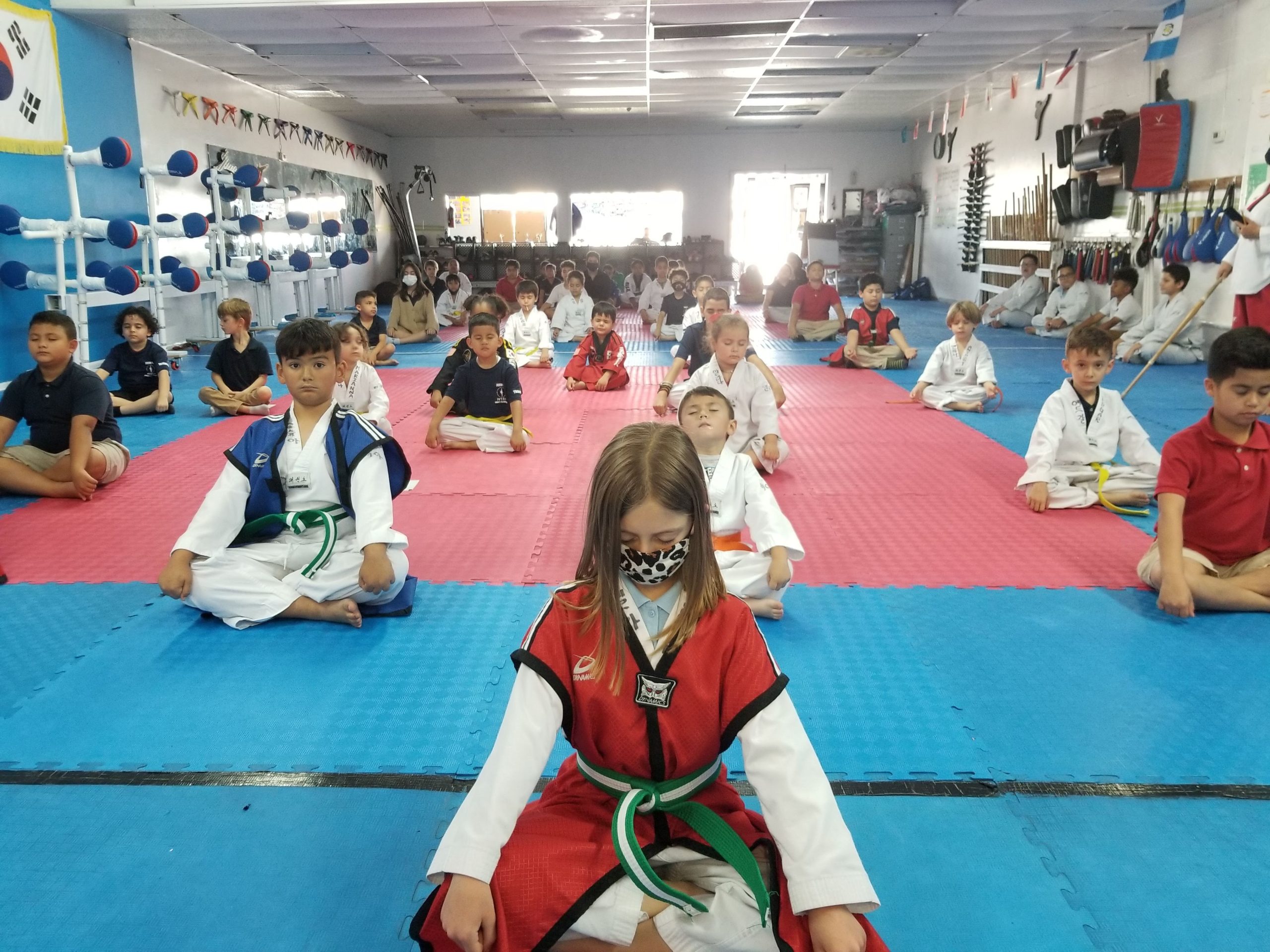 Taekwondo Master Teaching Students