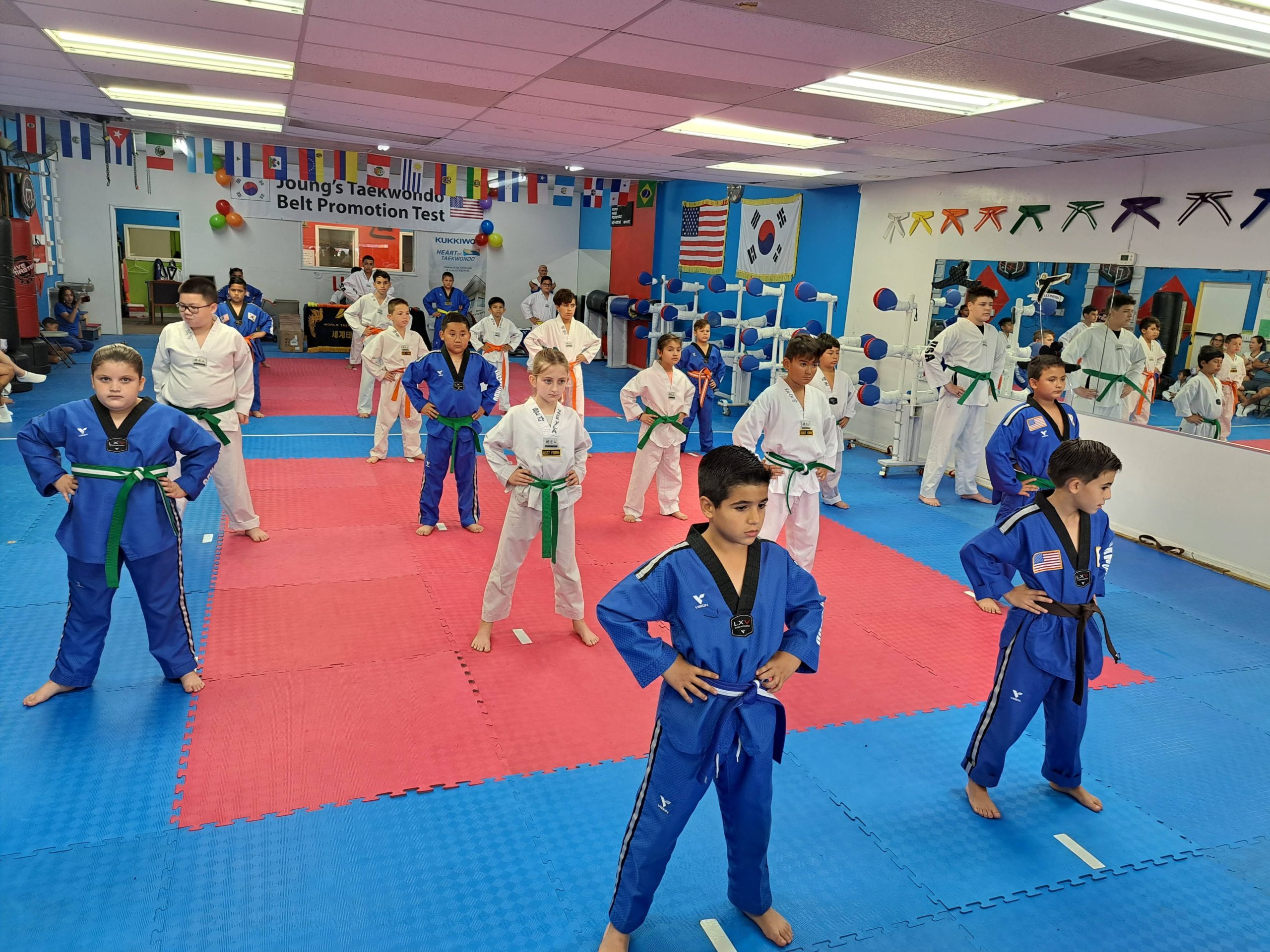 Junior 2 Taekwondo Class