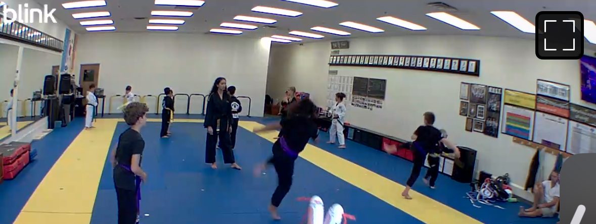 Growing Together: The Heart of Our Mentorship Program