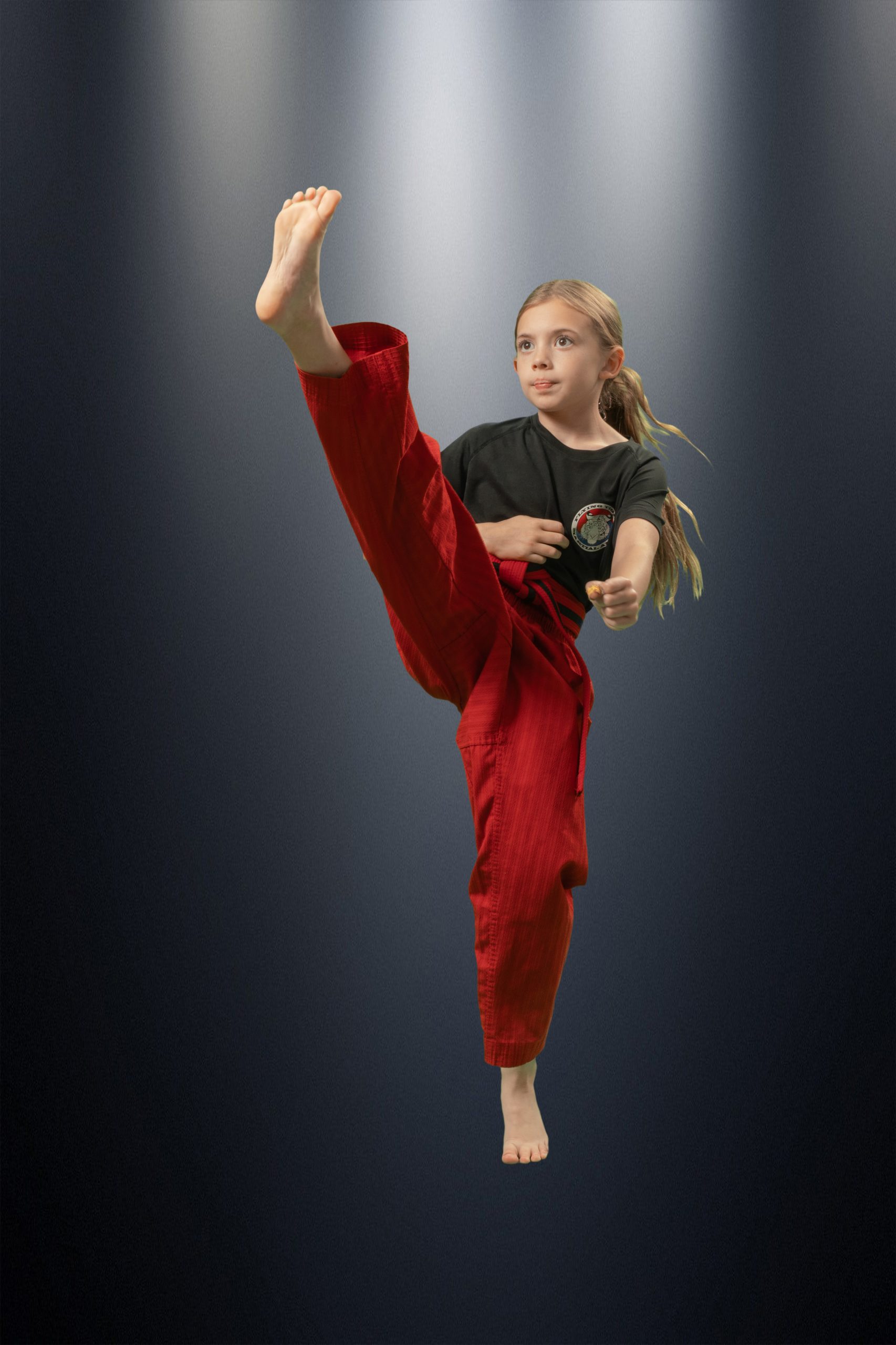 Flying Tiger Martial Arts training in Garner, NC (13)