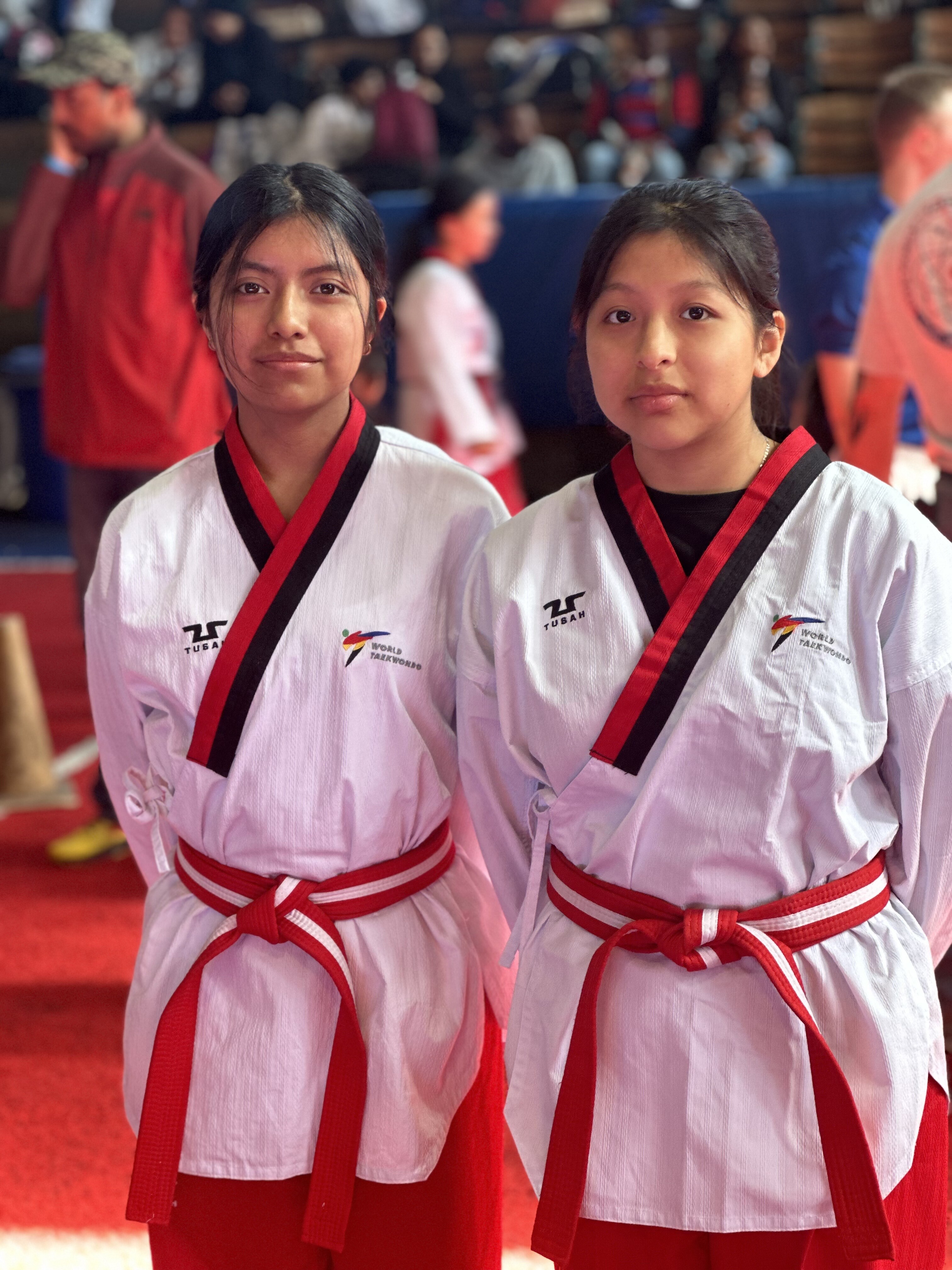 Adults practicing Taekwondo techniques