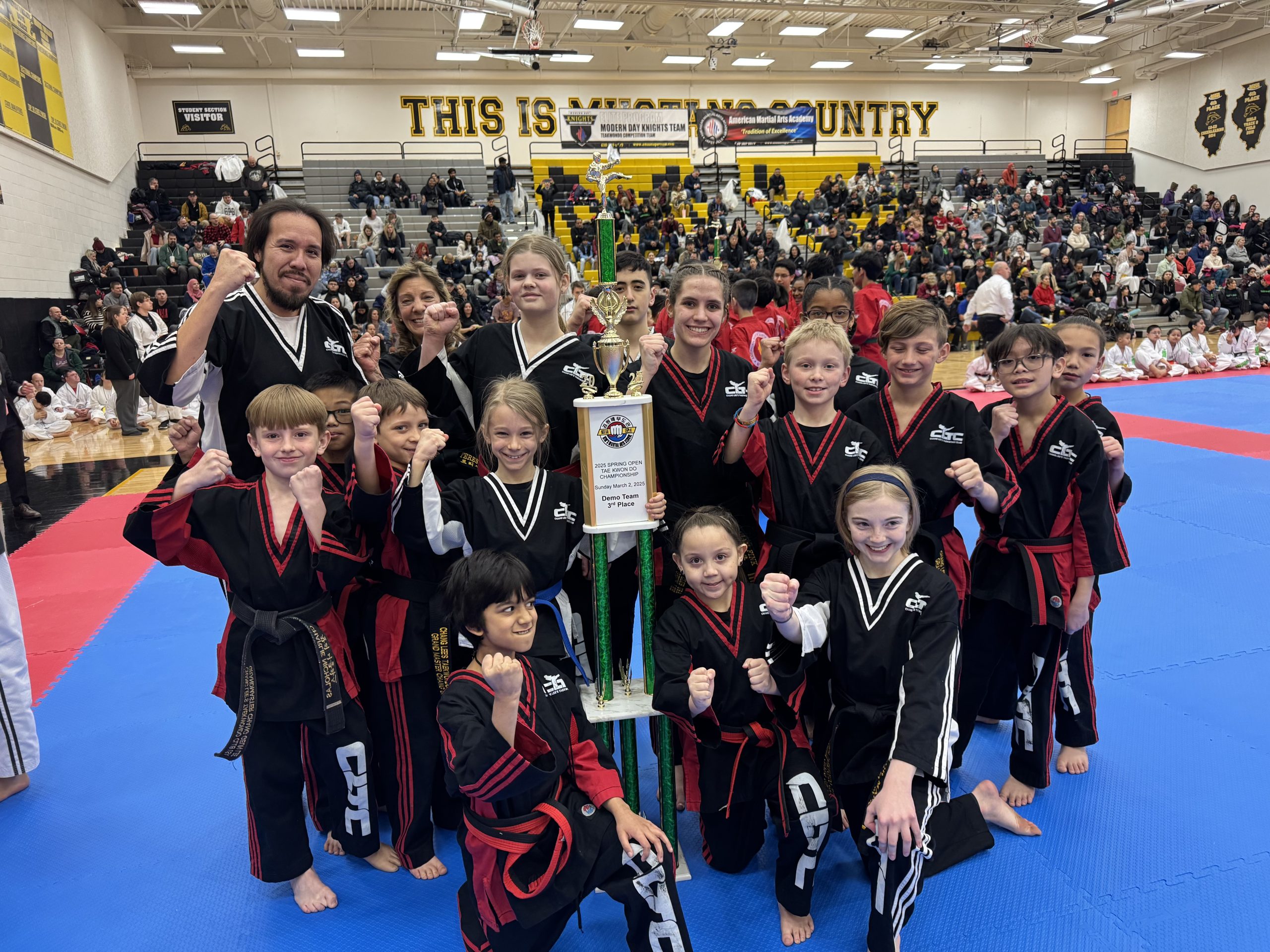 Taekwondo Master Teaching Students