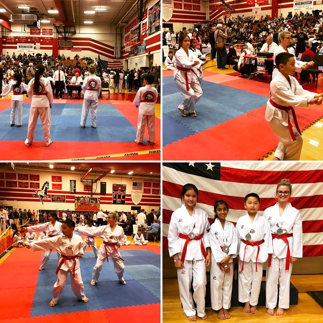 Taekwondo Master Teaching Students