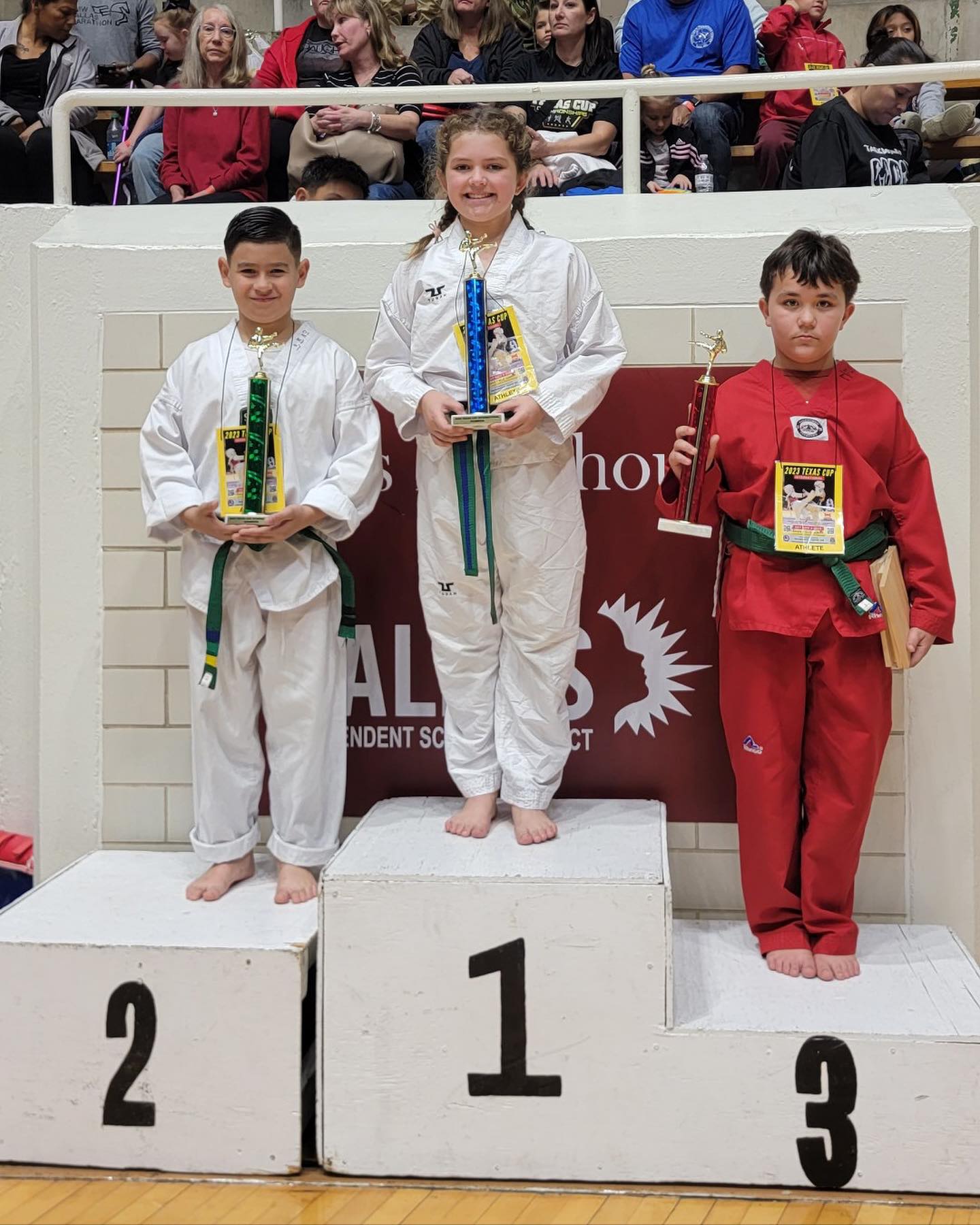 Junior students training toward Black Belt