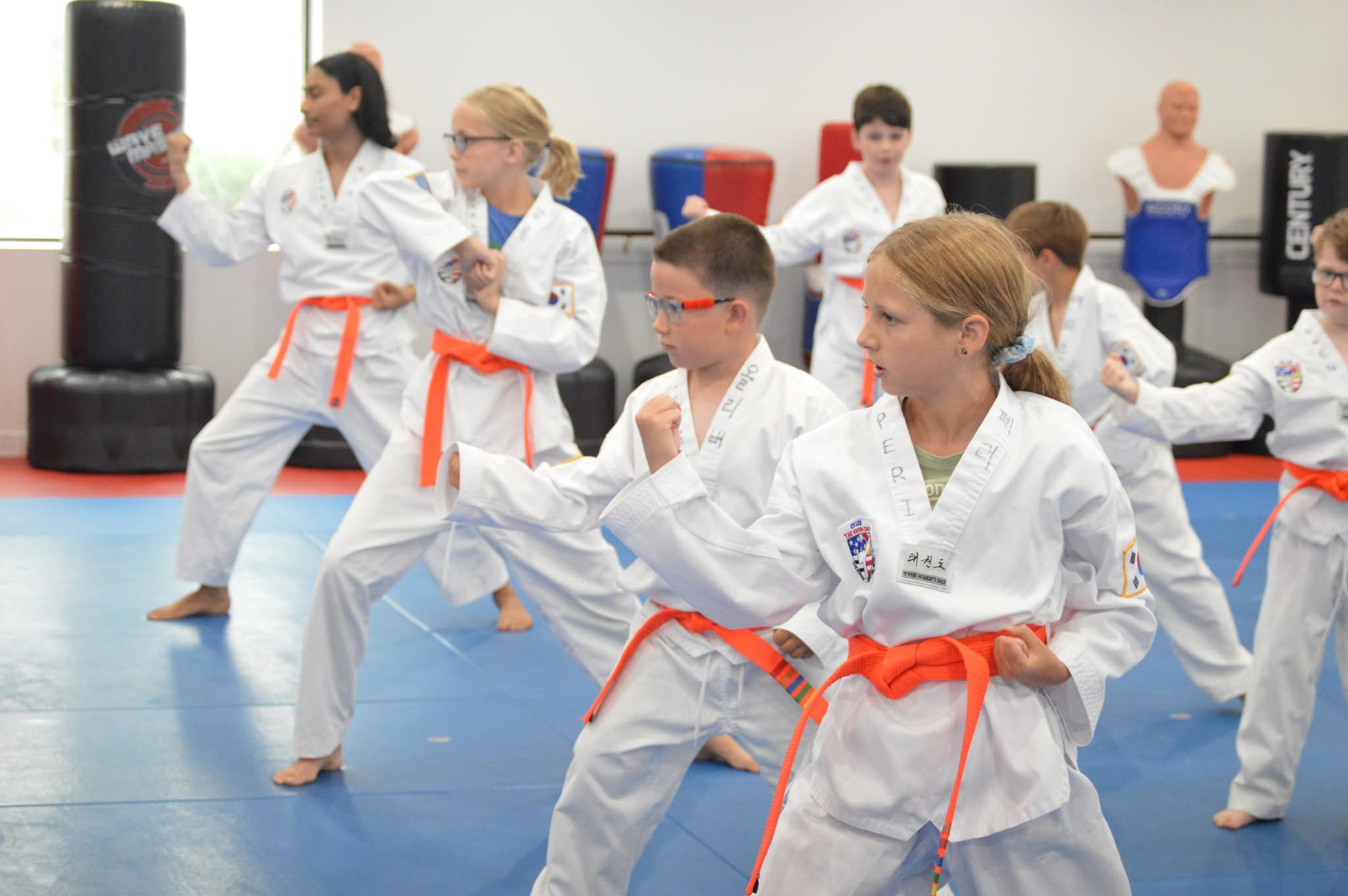 Dojang training floor