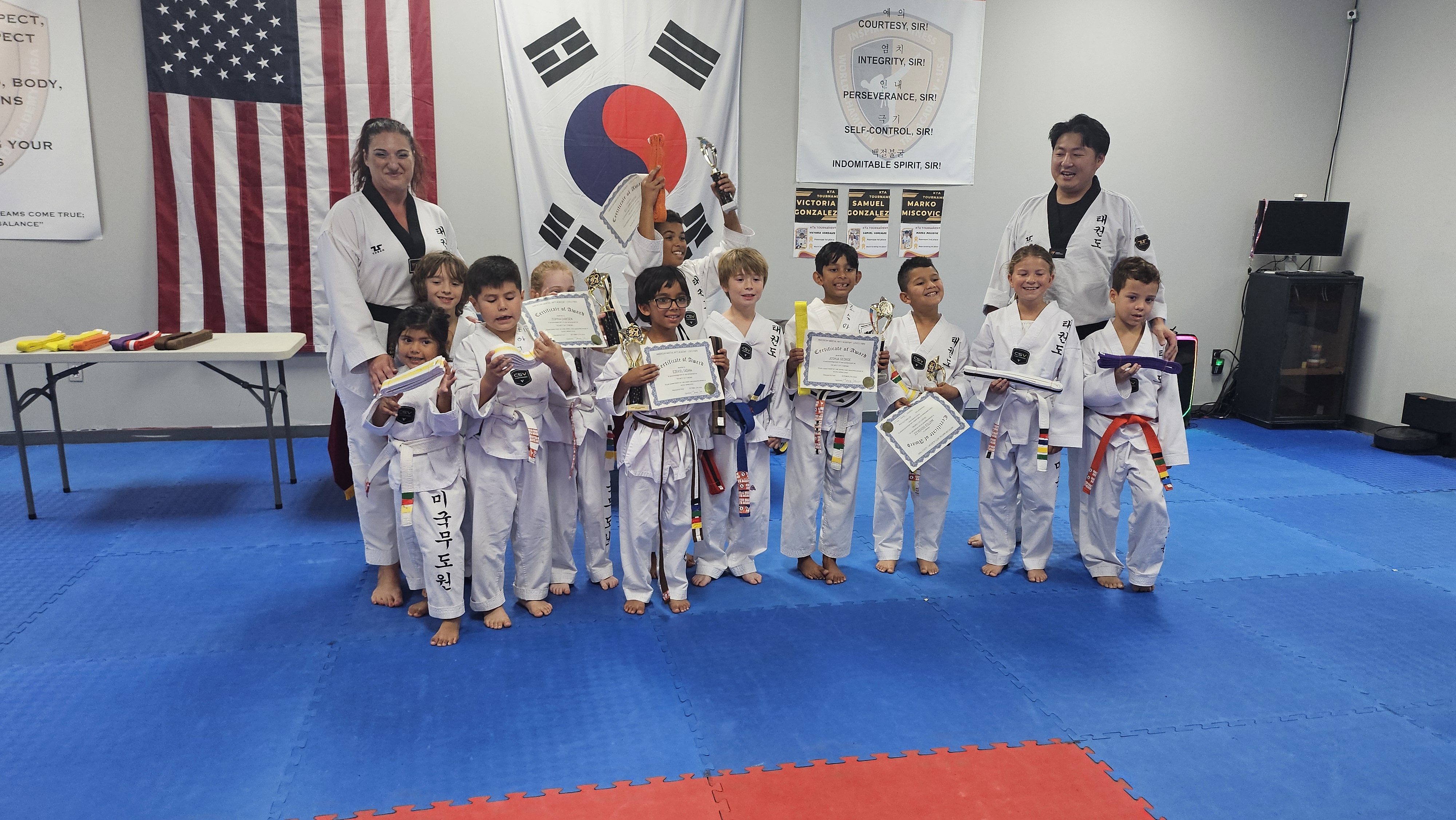 Taekwondo Master Teaching Students