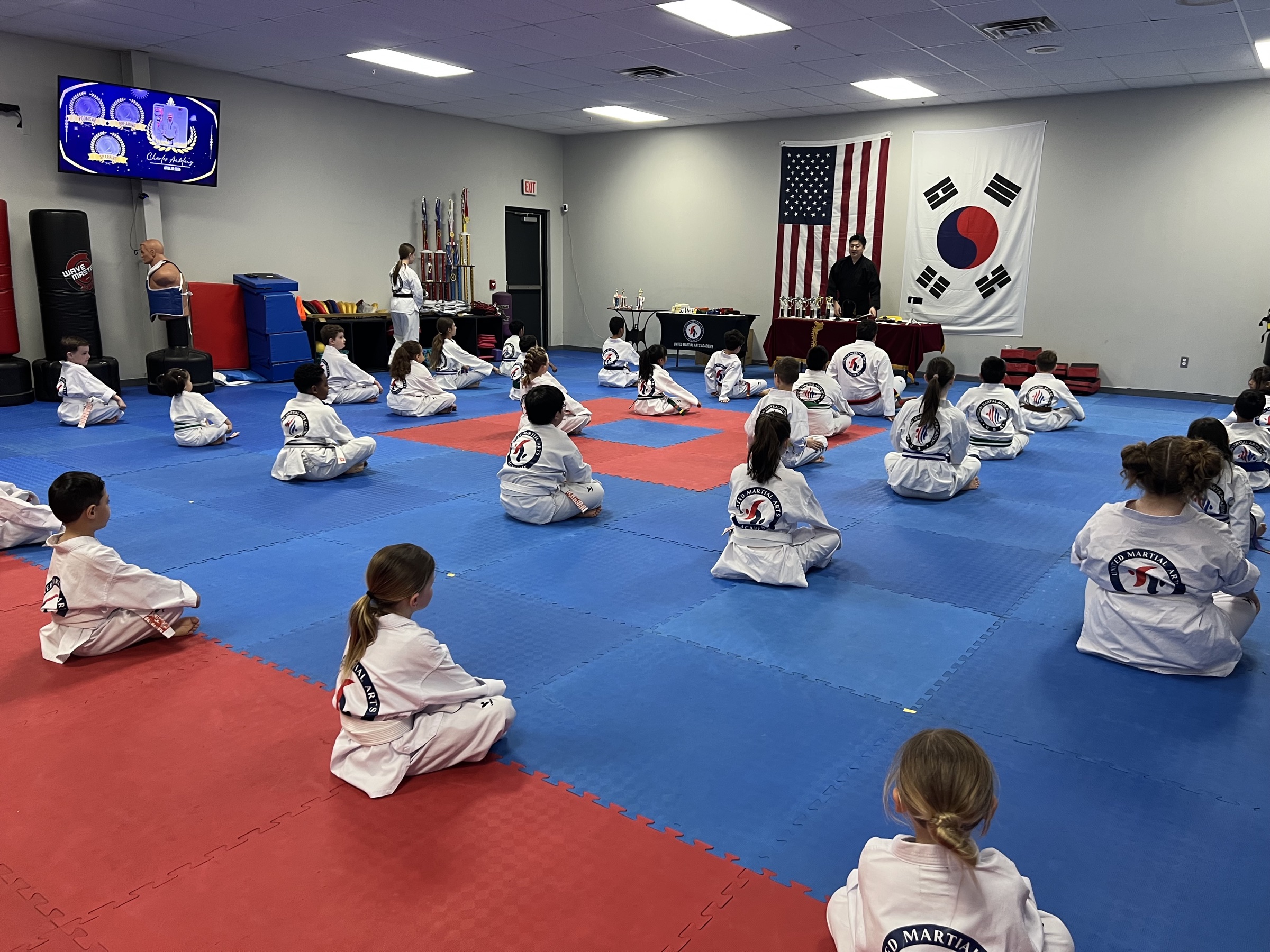 Taekwondo Master Teaching Students