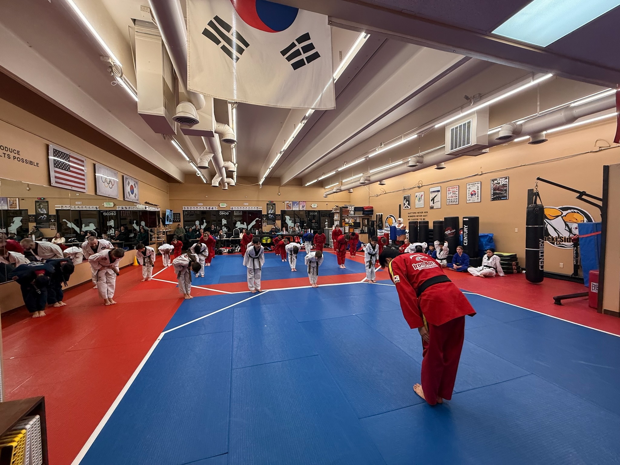 Iron-Horse Taekwondo Academy - Authentic Taekwondo Training