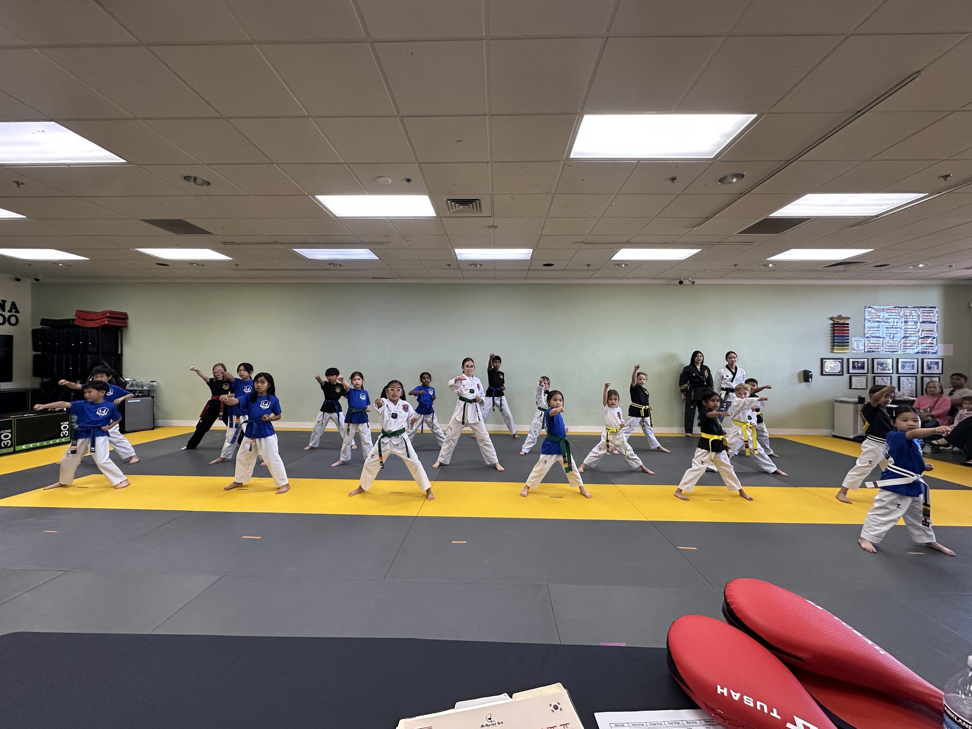 Full class practicing forms across the dojang