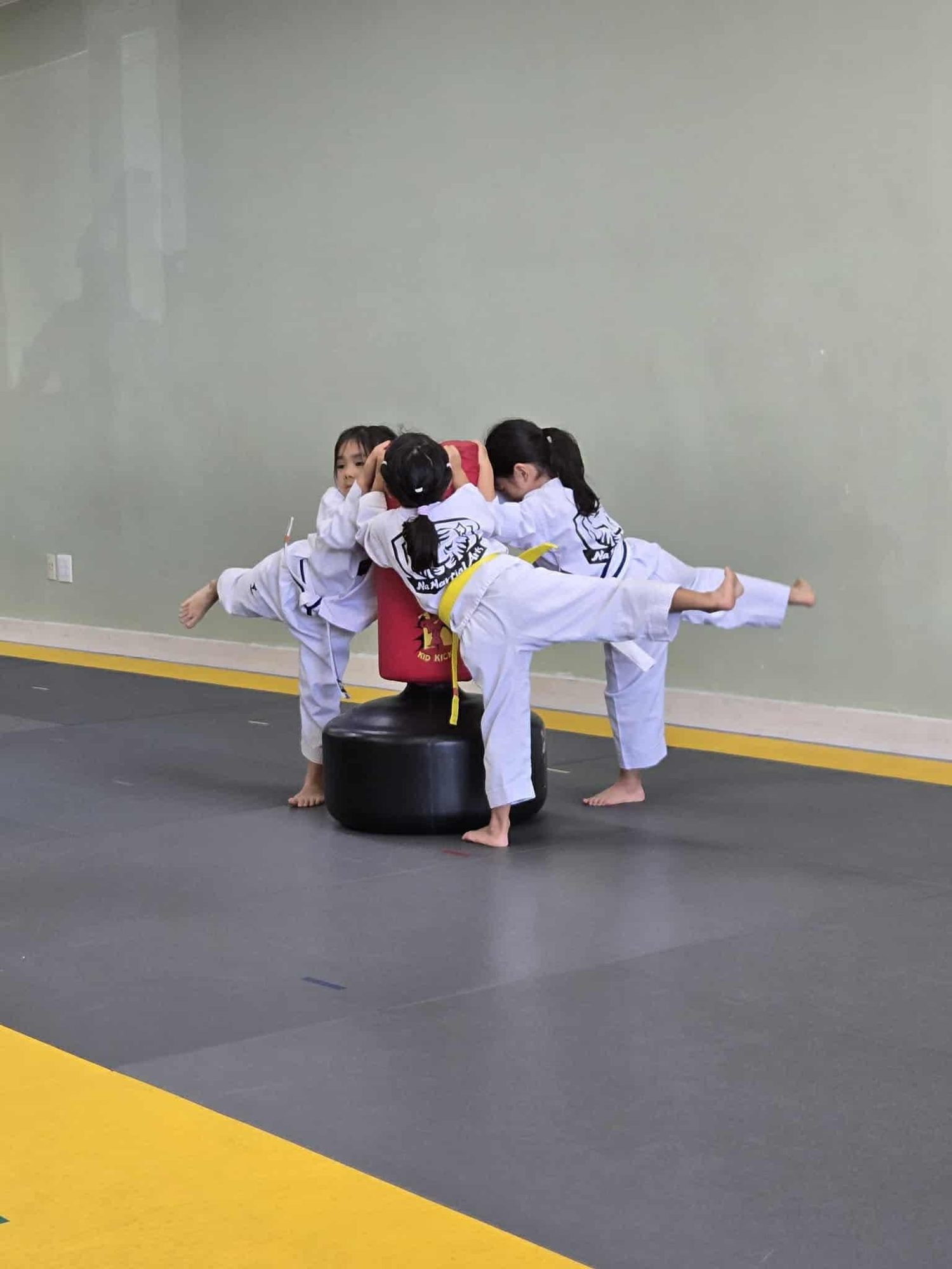 Students practicing a high kick on the target