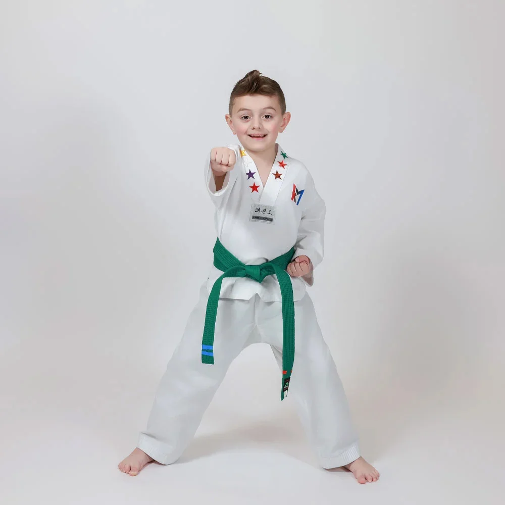 Young student roundhouse kick