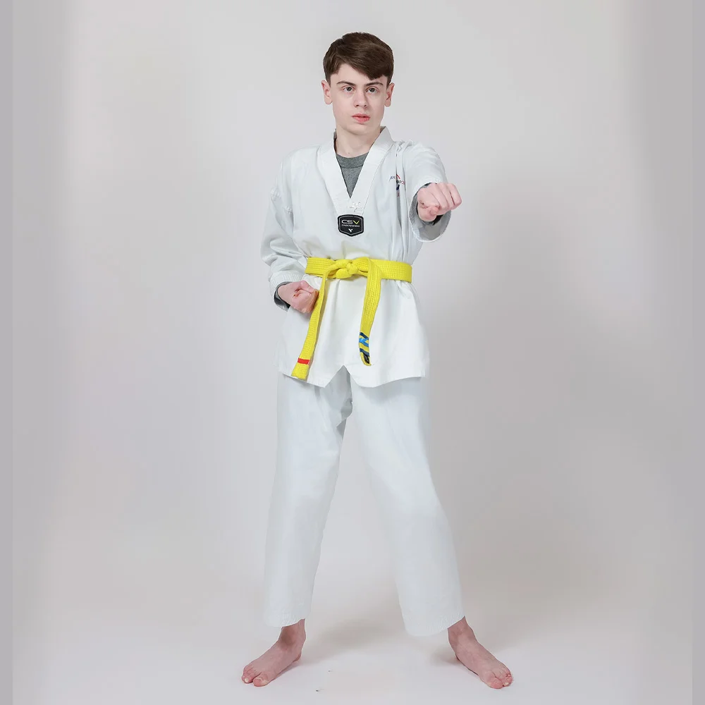 Young students in taekwondo class