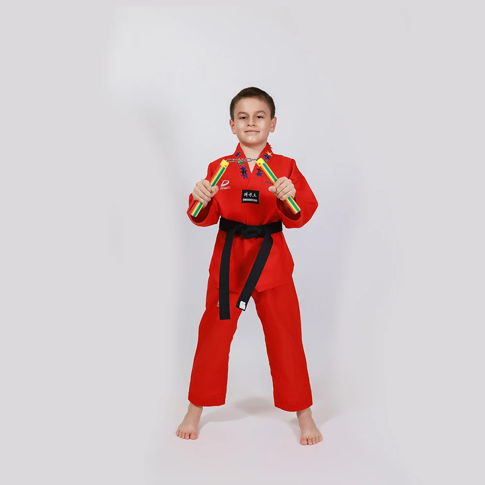 Taekwondo student demonstration