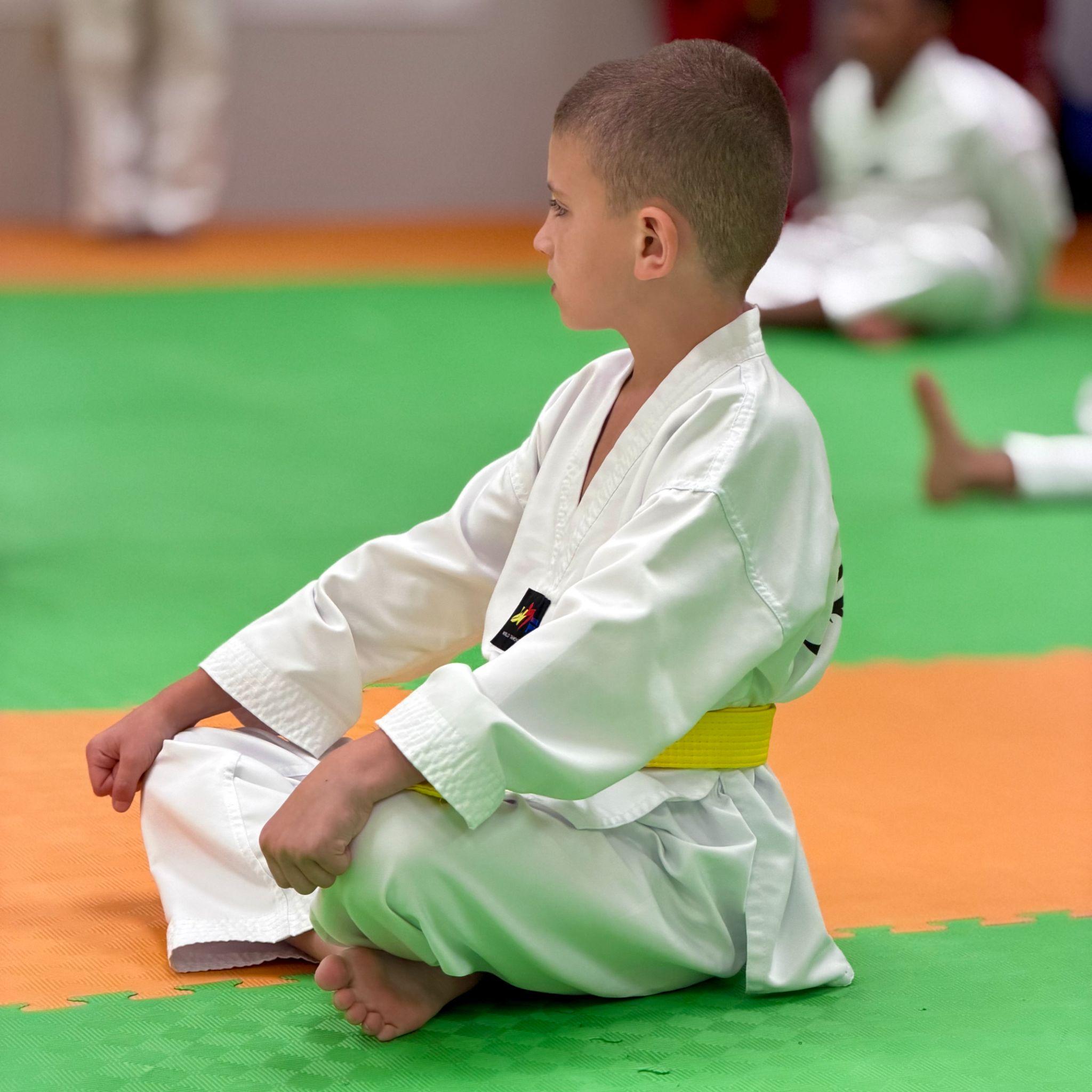 Junior Martial Arts — 1