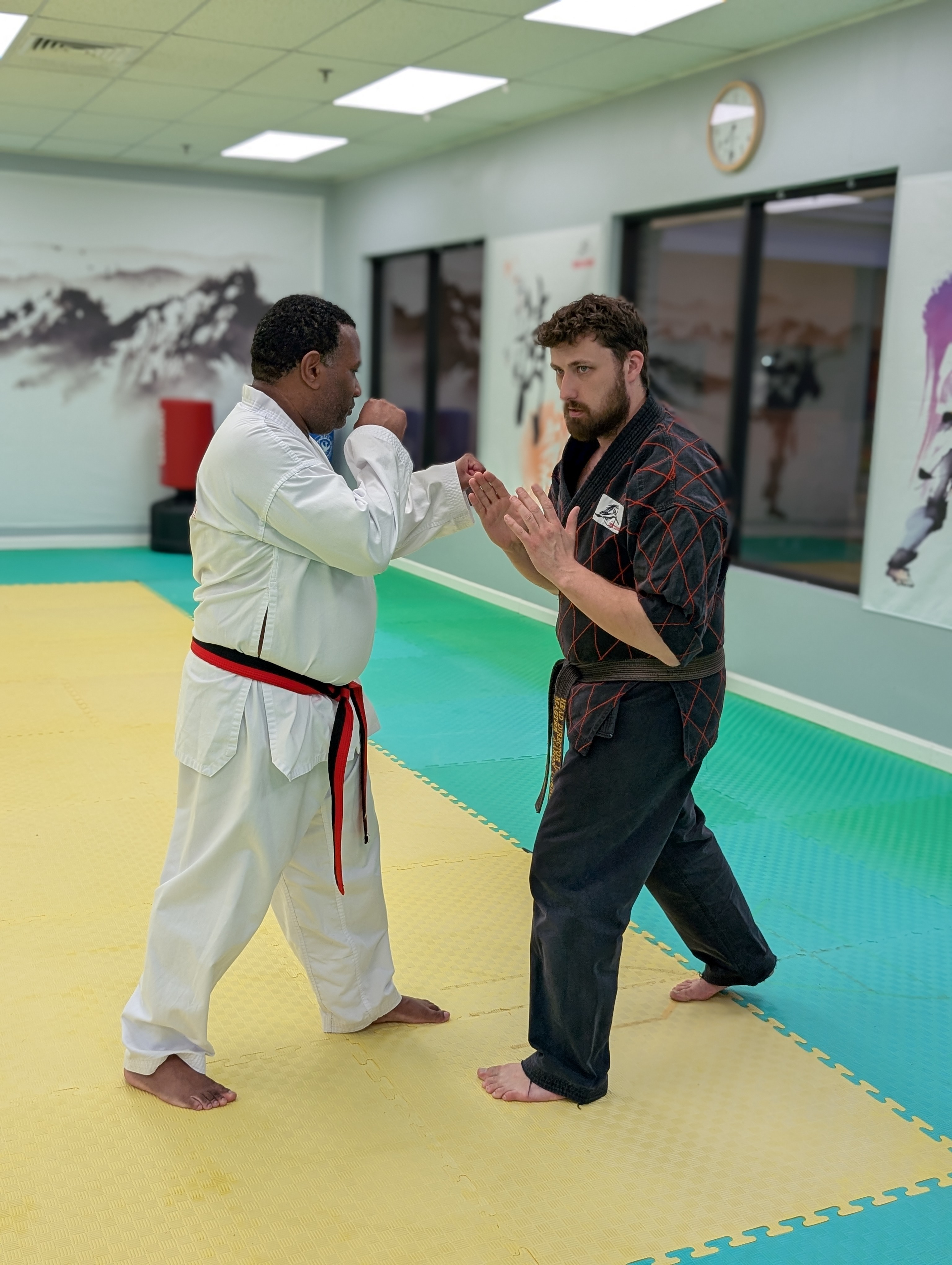 Adult Taekwondo