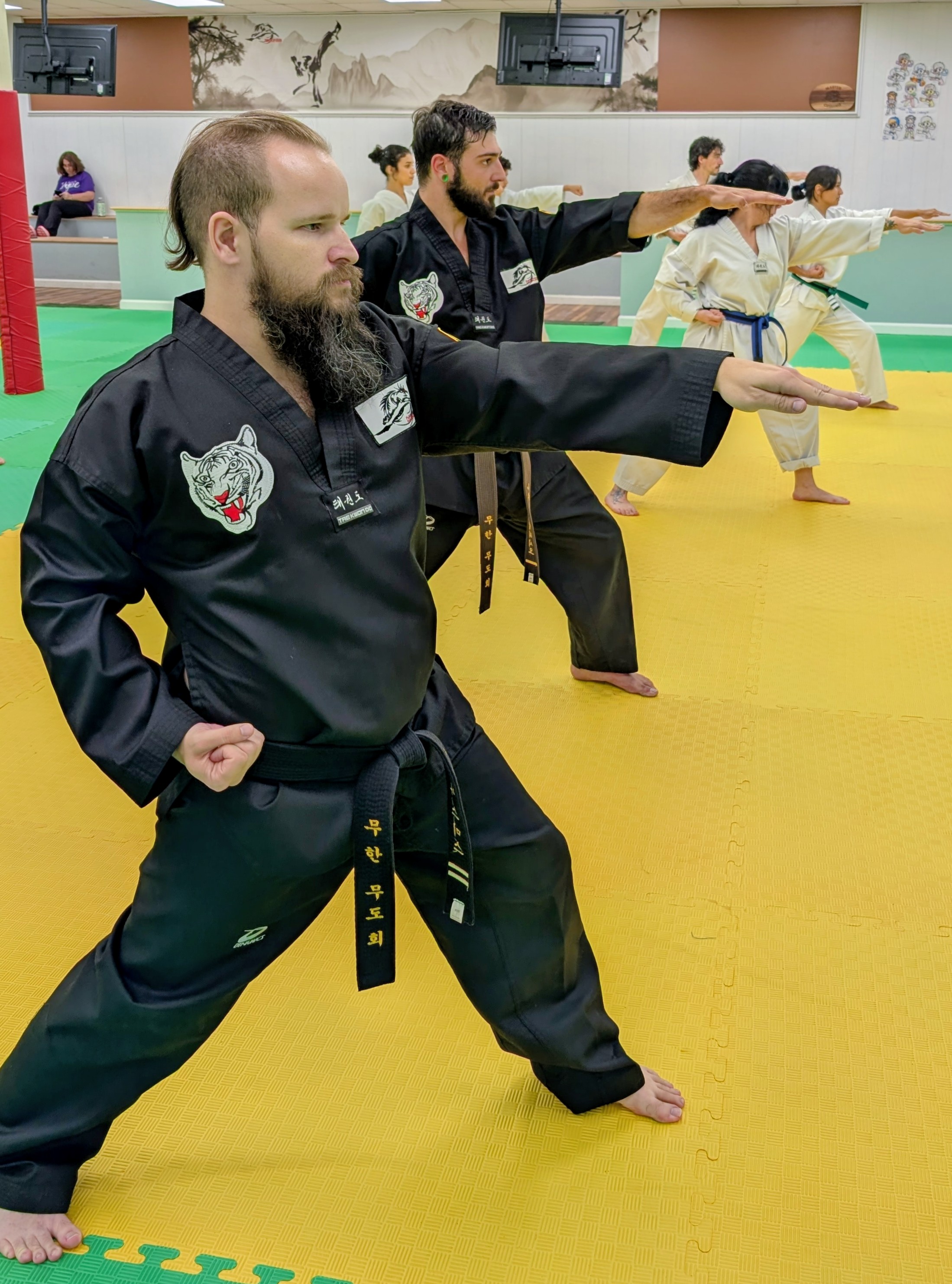 Adult Taekwondo — 2