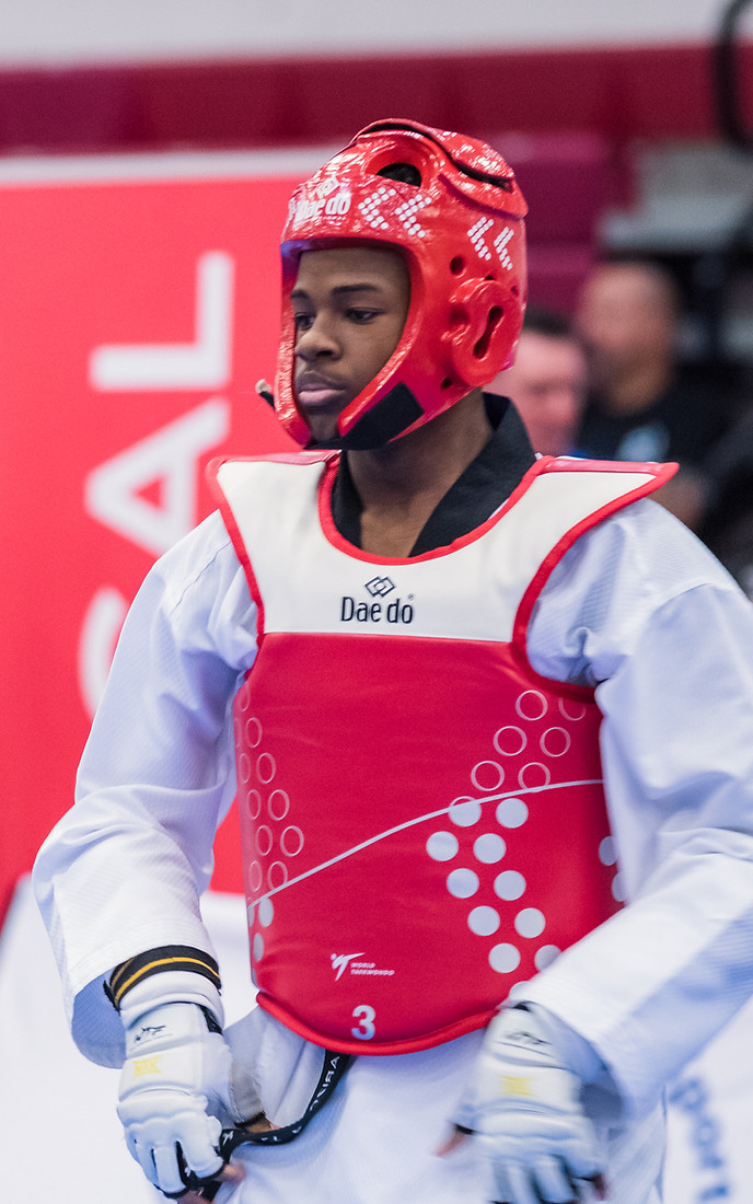 Taekwondo kick technique demonstration