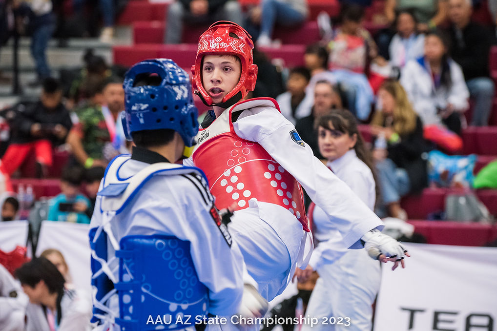 Taekwondo board breaking demonstration