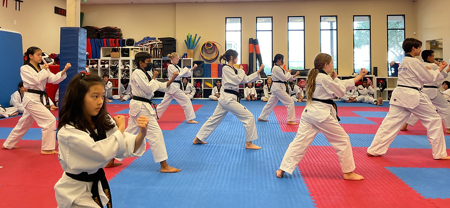 Arizona Taekwondo group training