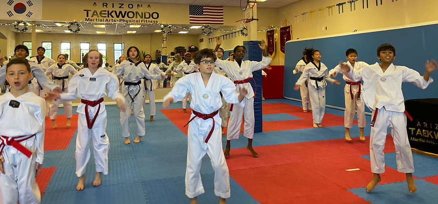 Taekwondo sparring match action