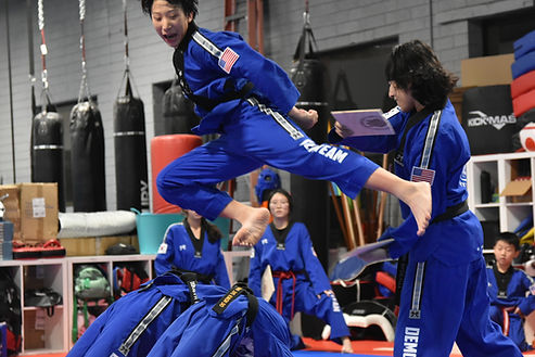 Taekwondo high kick practice