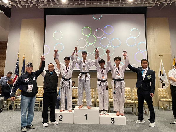 Taekwondo spinning kick