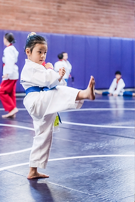 Arizona Taekwondo class activity