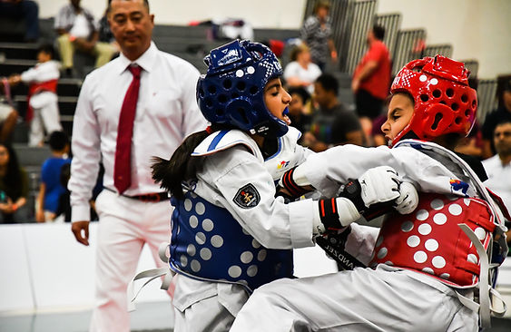 Arizona Taekwondo class highlight