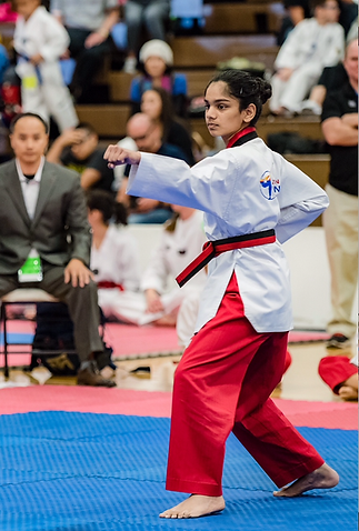 Arizona Taekwondo instructor demo