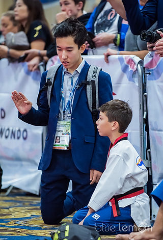Taekwondo student kicking technique