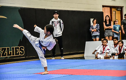 Arizona Taekwondo class milestone