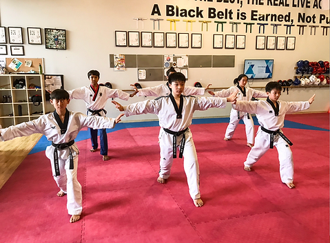 Arizona Taekwondo student achievement
