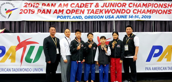 Arizona Taekwondo adult program