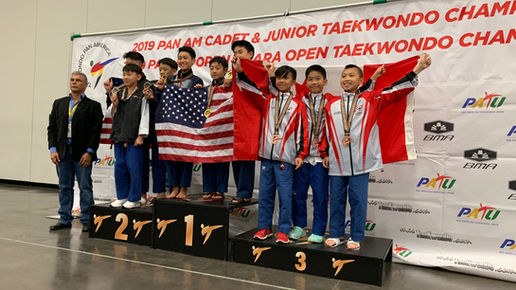 Taekwondo sparring drill session