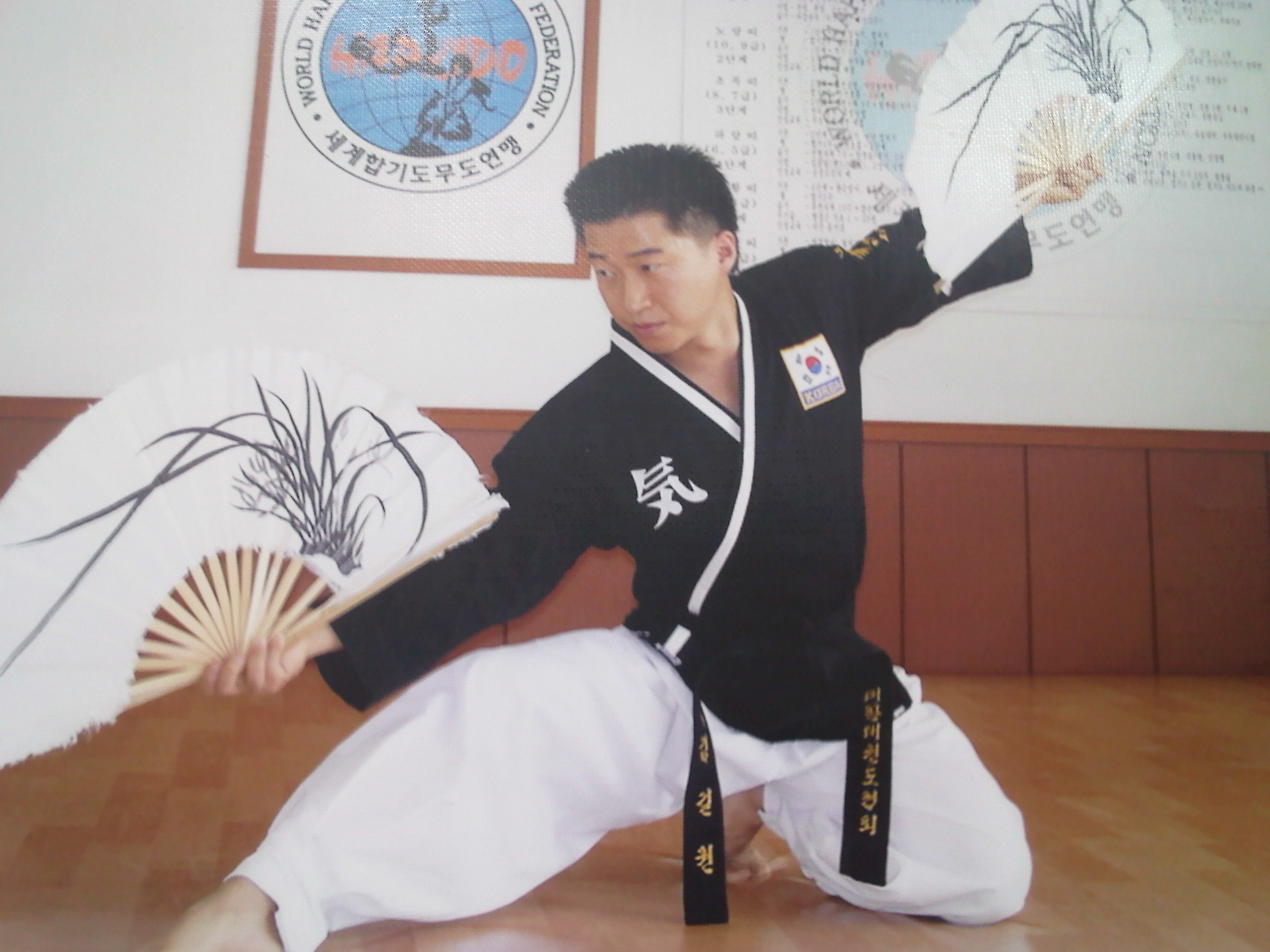 Grand Master Kay Kim 3