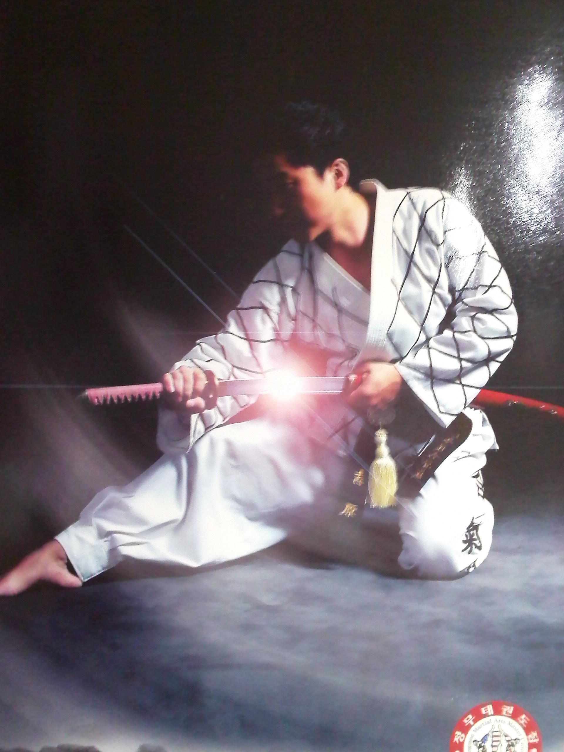 Grand Master Kay Kim 5