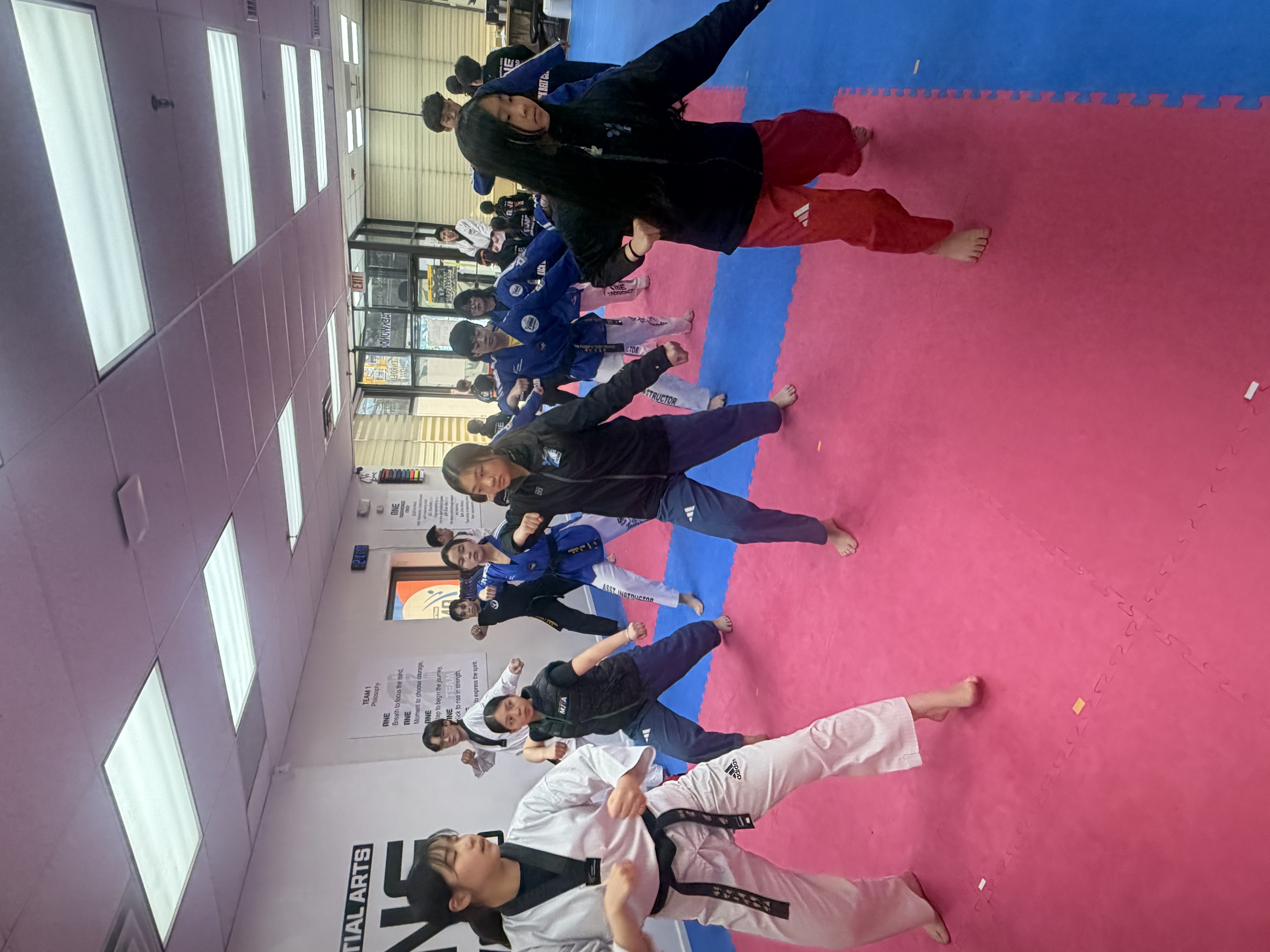 Adult Taekwondo strength and self-defense training
